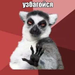 Sticker memes_again - 9