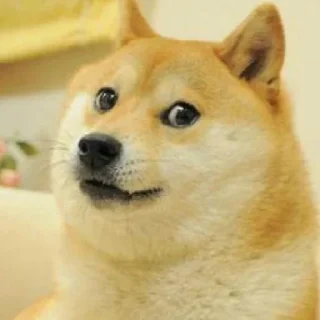 Sticker memes_again - 2