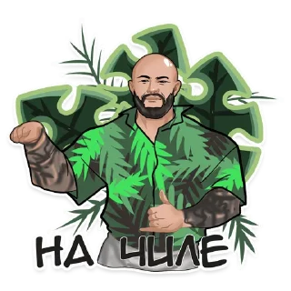 Sticker Мемные звёзды от @banochkitapochki - 11