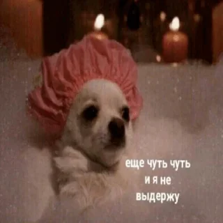 Стикер memes - 7