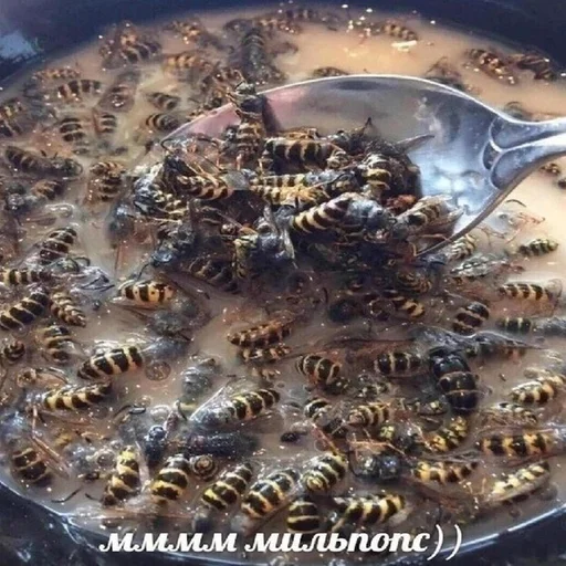 Sticker Мемы by @aeughh - 0