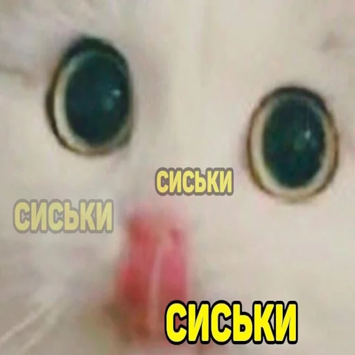 Sticker memesbyset700 - 1