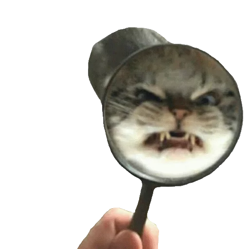 Sticker memesderetardado - 1