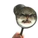 Стикер Memes de retardado - 3