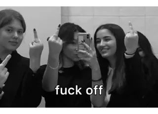 Стикер мемные ашки/ушки - 4