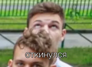 Стикер мемные ашки/ушки - 1