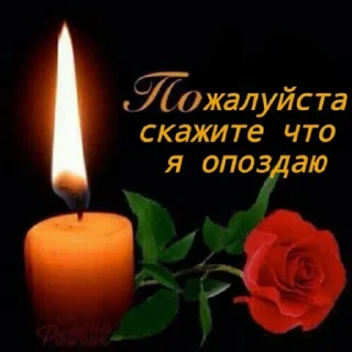 Стикер мемные ашки/ушки - 11