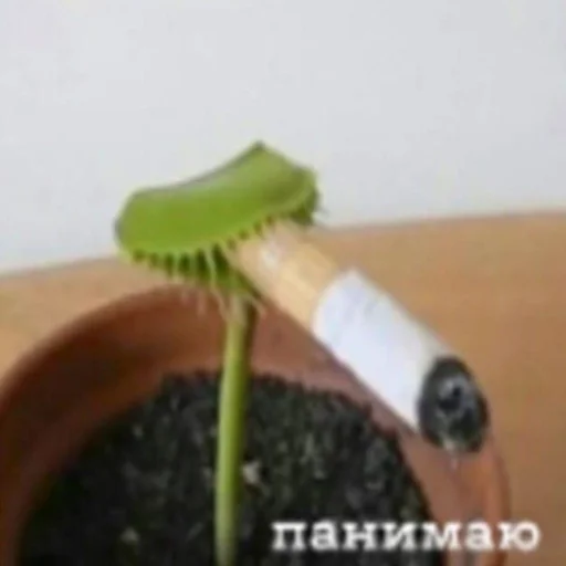 Стикеры WhatsApp - СМС