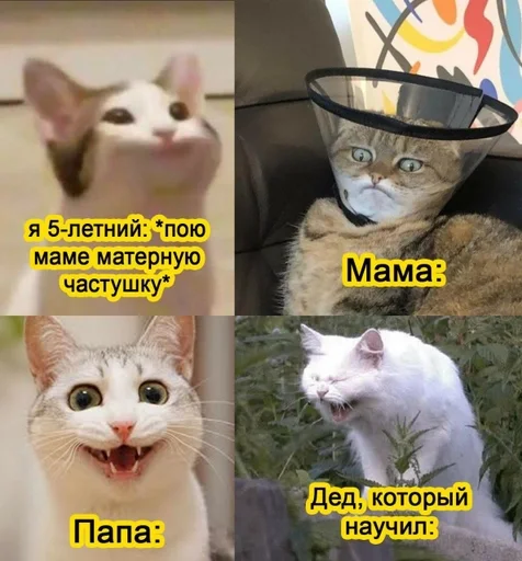 Стикер Мемы :: @fStikBot - 0