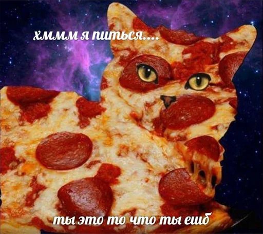 pizza dish fast food