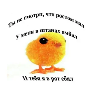 Стикер ∞︎ @stickersblya ∞ - 4