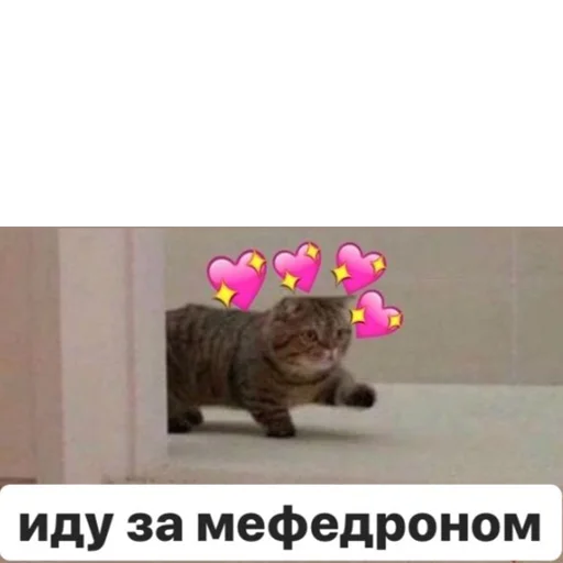 Стикер memes or drugs? - 11