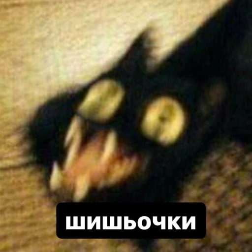 Стикер memes or drugs? - 10