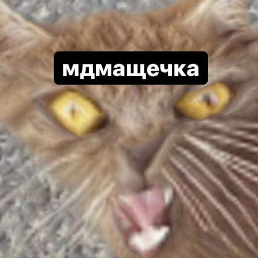 Стикер memes or drugs? - 9