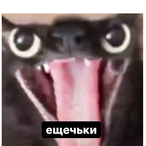 Стикер memes or drugs? - 7