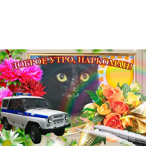 Стикер memes or drugs? - 5