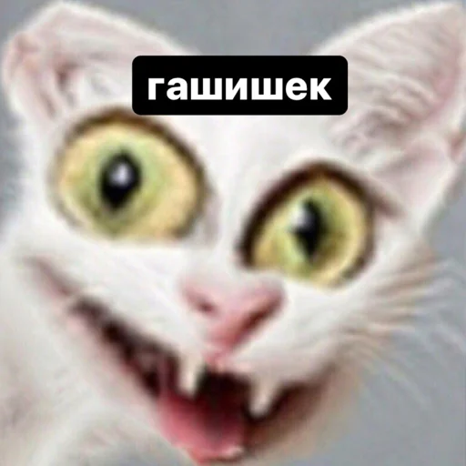 Стикер memes or drugs? - 4