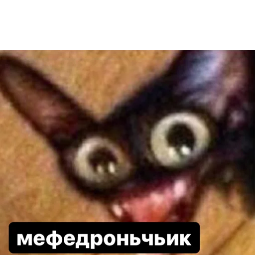 Стикер memes or drugs? - 3