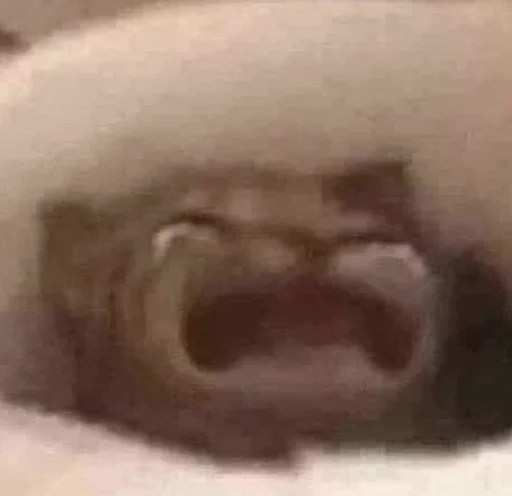 Человек искусство