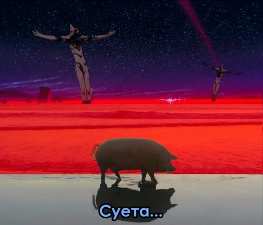 ice skating person outdoor