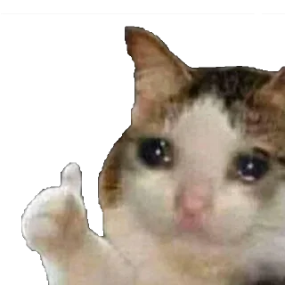 Memes semeM 3 by @fStikBot - животное