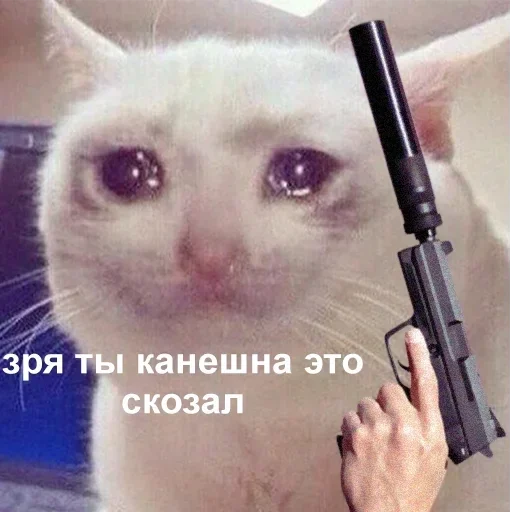 кошки малого и среднего размера оружие усы