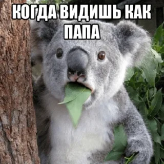 Sticker попки by @aasasarose - 11