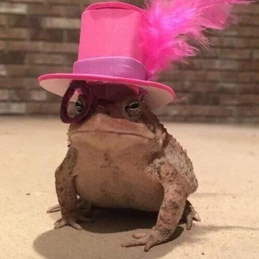 fashion accessory pink toy