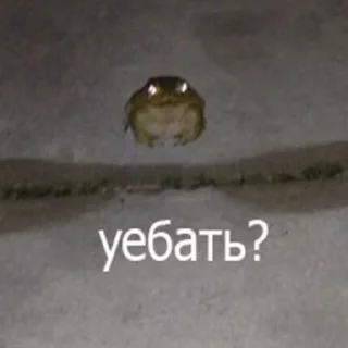 Стикер выебу @piyawka ы - 6