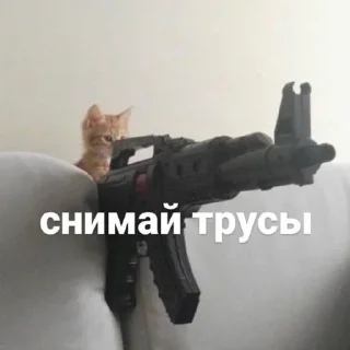 Стикер выебу @piyawka ы - 3