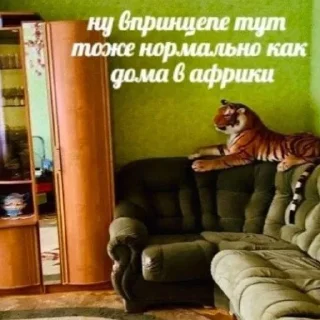 Стикер мемы для няшек - 4