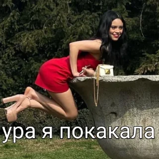 Стикер мемная дженна @piyawka - 11