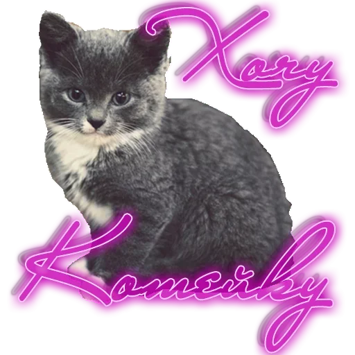 Хочу by @MEMnarco - 