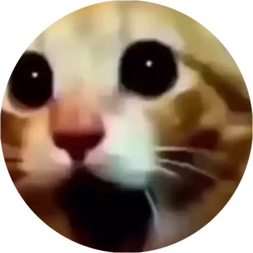 Sticker Members @ne_megachat - 9