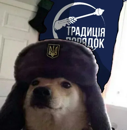 Стикер memnie_sobaki - 1