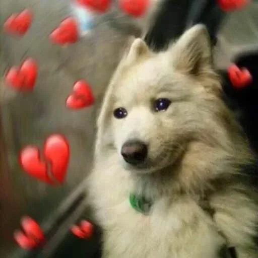 Sticker memnie_sobaki - 1