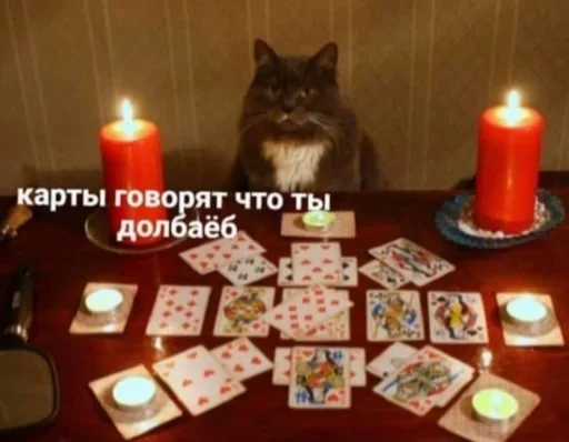 свеча комнатный кошка