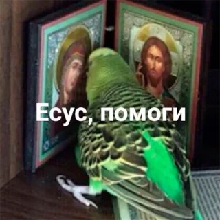 Стикер Попуги - 11