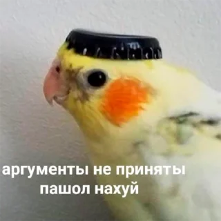 Стикер Попуги - 1