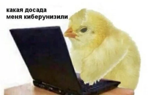 memes 2 :: @fStikBot - животное