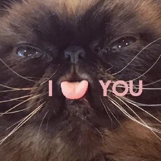 Sticker popugmem1 - 7