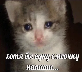 Sticker popugmem1 - 5