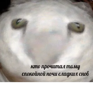 Sticker popugmem1 - 0