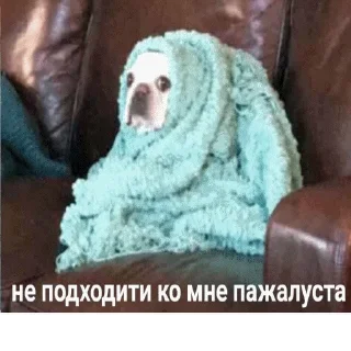 Sticker popugmem1 - 6