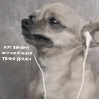 Стикер mempopug2 - 4