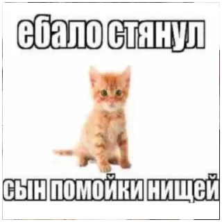 Стикер мемприкол - 2