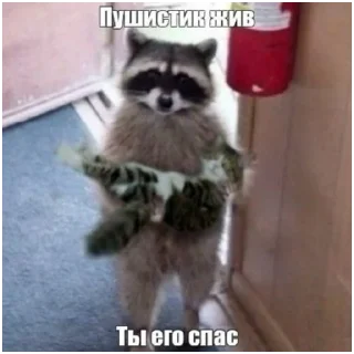 Стикер мемприкол - 10