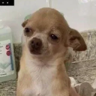 Стикер мемчики - 0