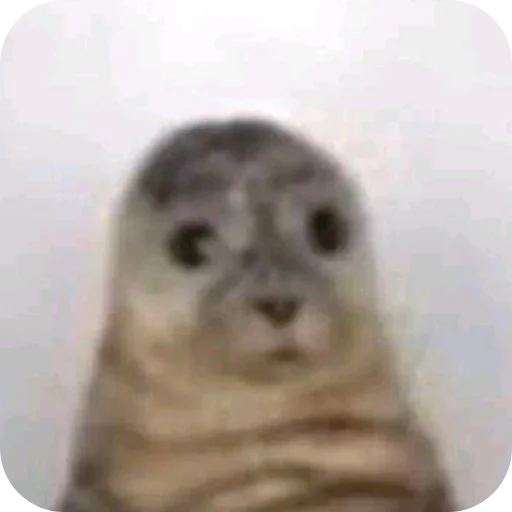 Sticker mems3061 - 1