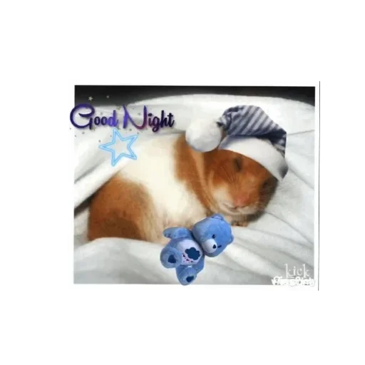 Sticker mems3061 - 1